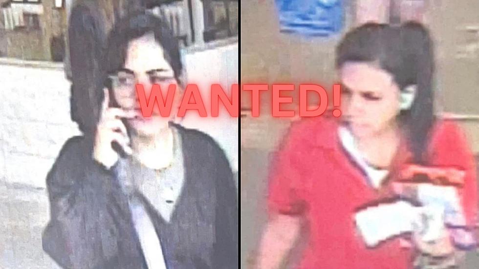 New York State Police Seek Your Help, Did These Two Steal Your Debit Card?