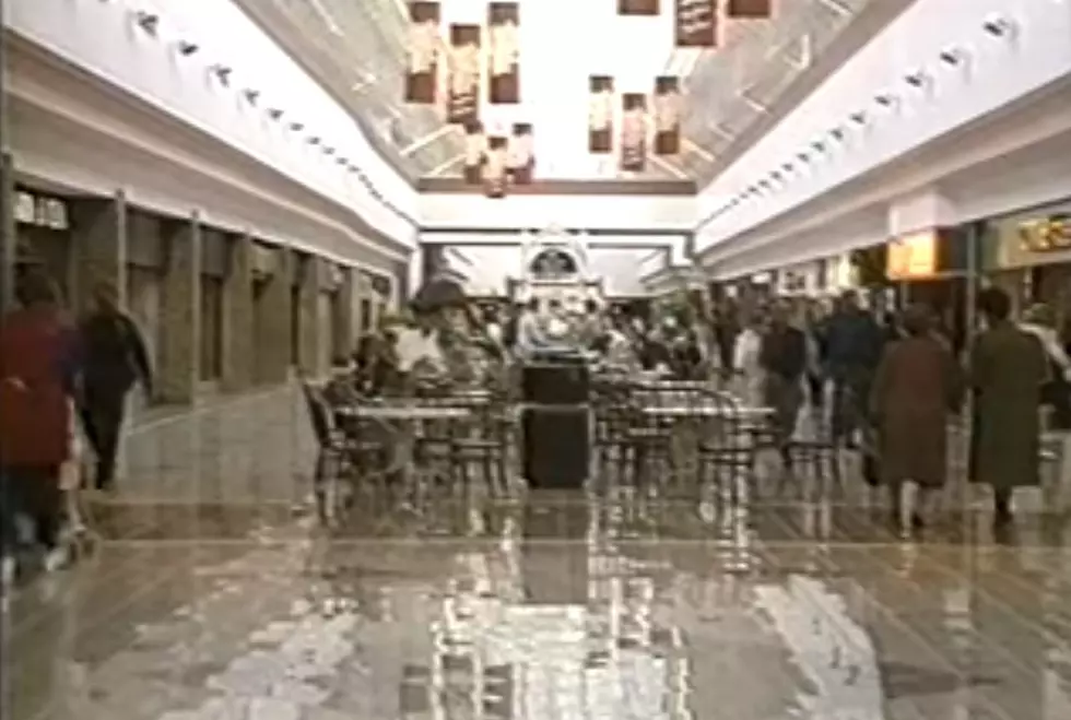Do You Remember These Upstate New York Malls and Stores? Take A Look Back With 5 Videos From the Past