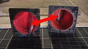Fish Inside New York Construction Cones? You Won't Believe It