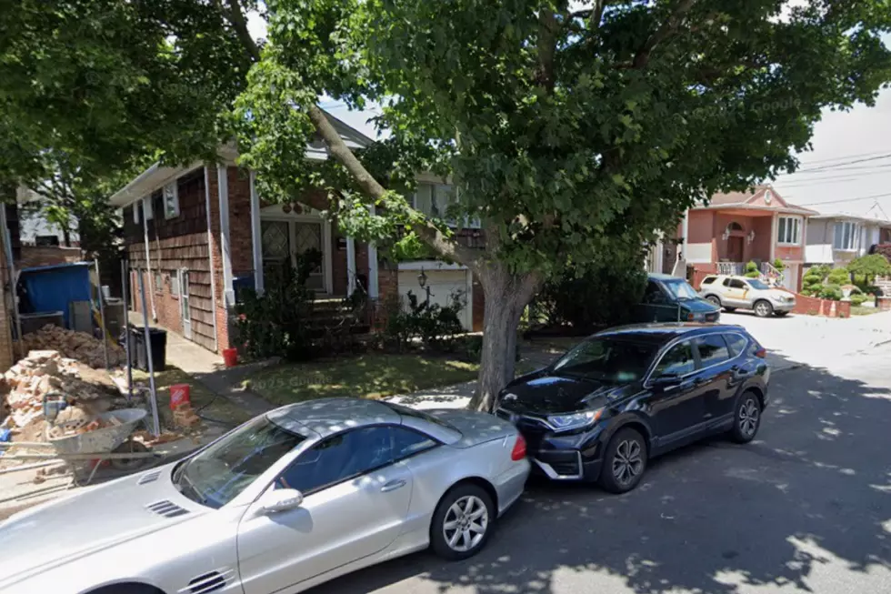 100 Dogs Found In Dead Owner’s New York Home