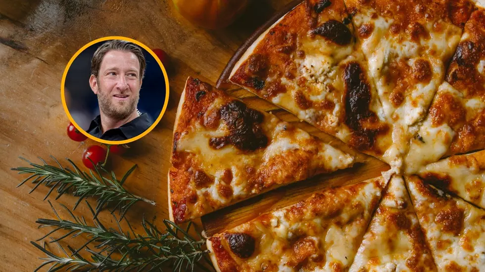 These Are The Top 20 Capital Region Pizza Places That Dave Portnoy Must Try