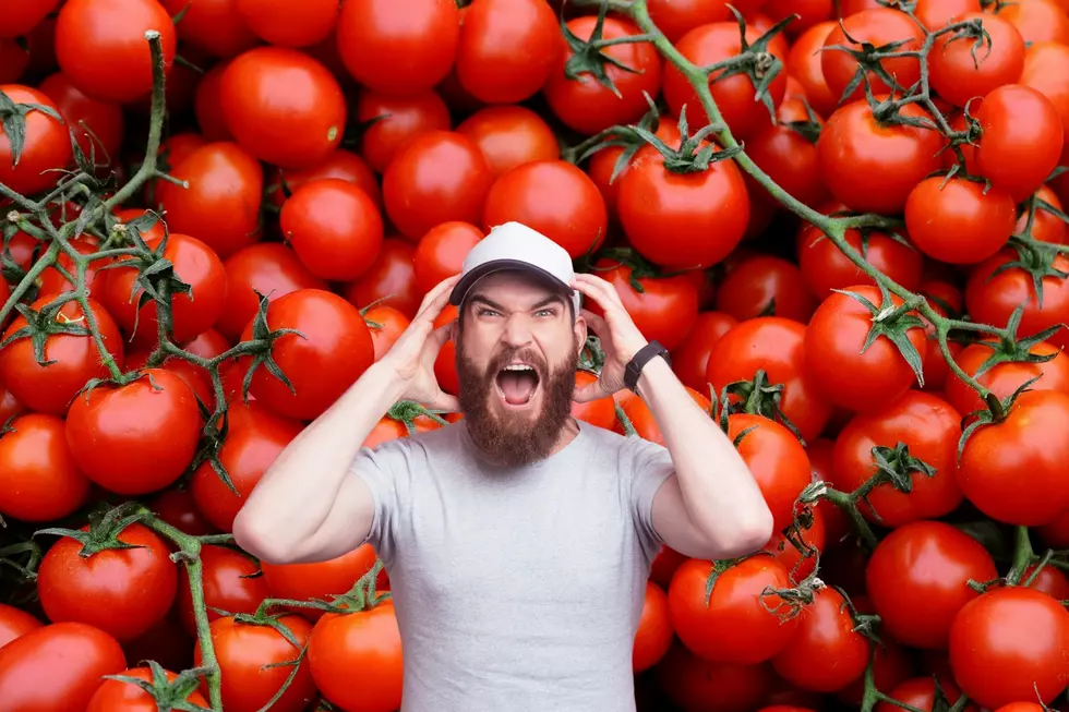 Tomatoes Are The Next Food Going Up In Prices Thanks to Tariffs