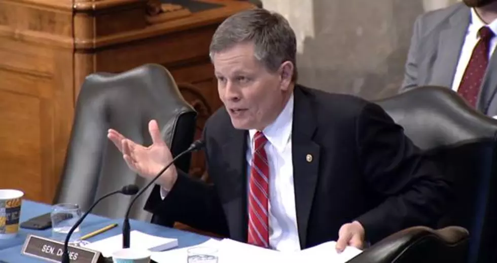 Daines Is Fighting To Protect Americans Privacy