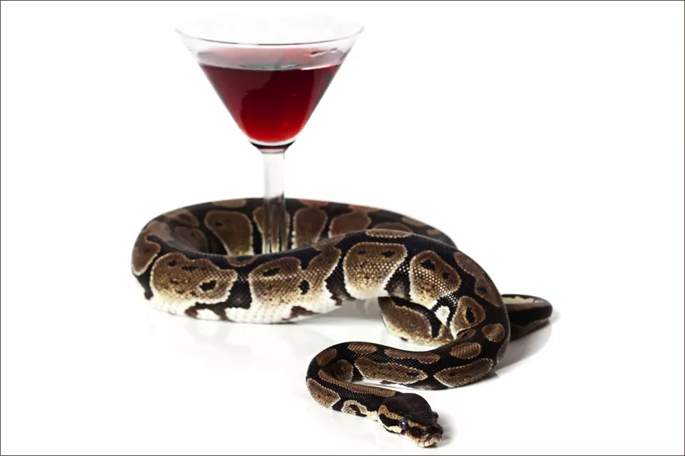 Snake Wine, Scorpion Vodka & 'Protein-Based' Booze Options