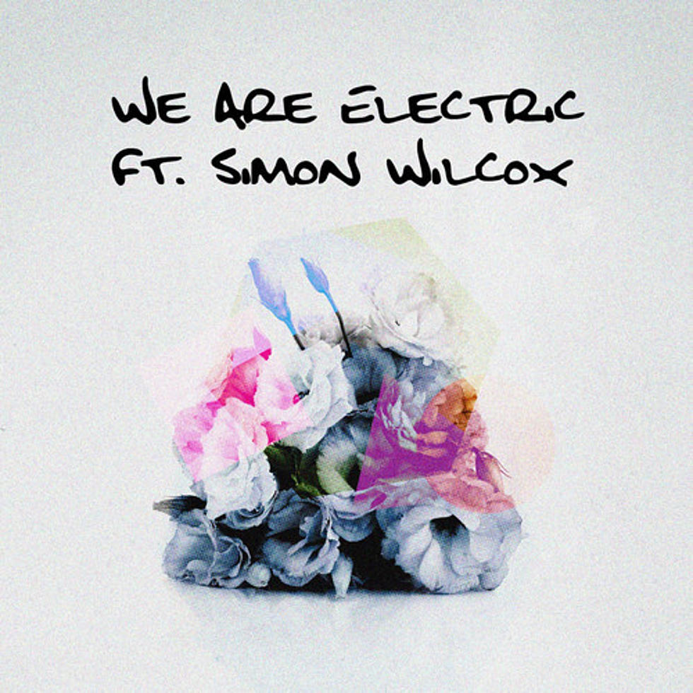 DVBBS ft. Simon Wilcox “We Are Electric”
