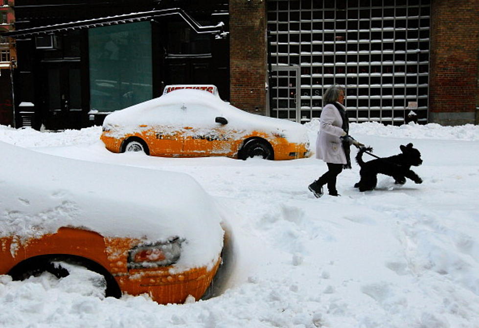 NYC Overwhelmed In Blizzard Response