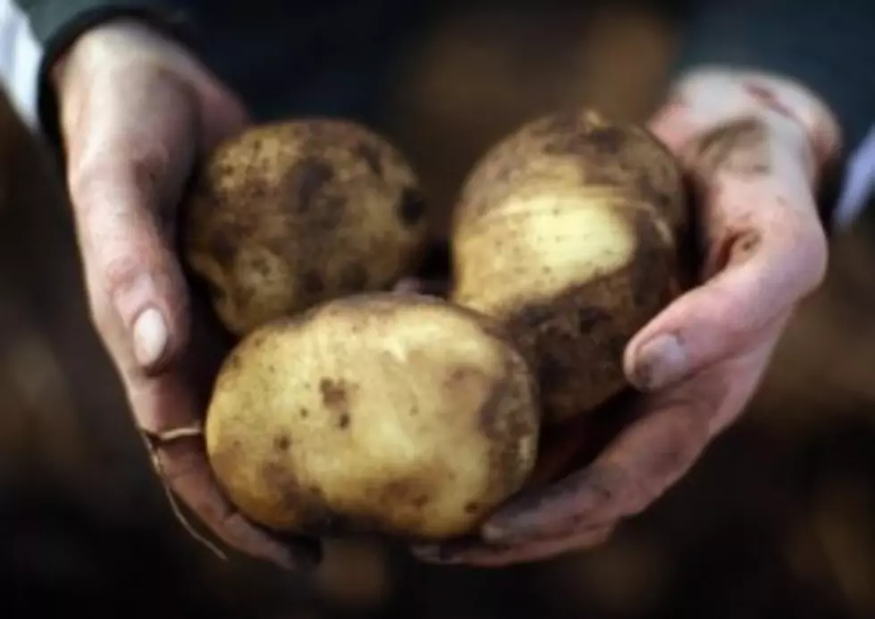 Potatoes Not Helpful With Weight Loss