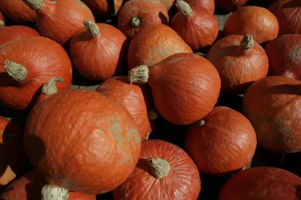Pumpkin Shortage In New York State Because Of Tropical Storm Irene