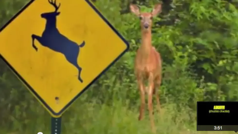 Dumb “Move The Deer Sign” Phone Call – Is this Lady For Real? [AUDIO]