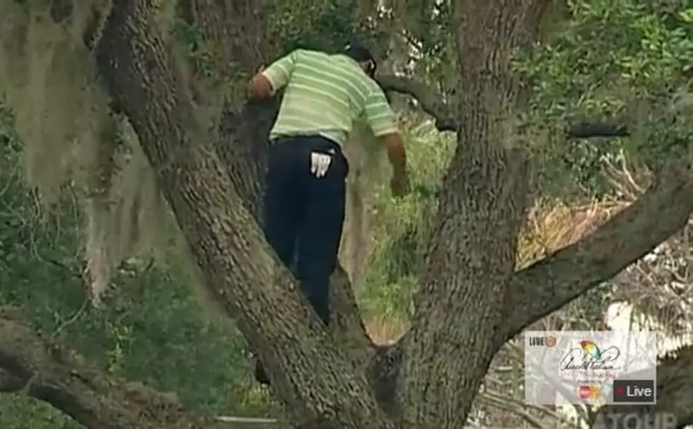 Play It Where It Lies! Did You See Sergio Garcia Climb a tree To Hit A Golf Ball This Weekend? [VIDEO]