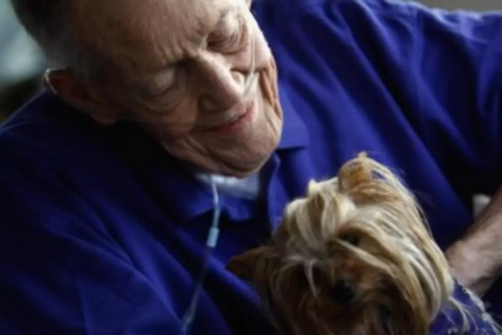 A Man With Alzheimer&#8217;s Lost his Ability To Speak, Except With The Family Dogs [VIDEO]