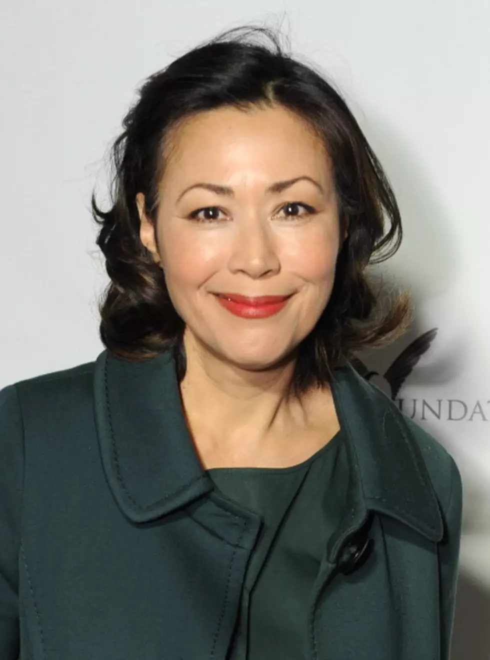 Ann Curry Rescued by Boy Scouts After Breaking Ankle During New York Hike