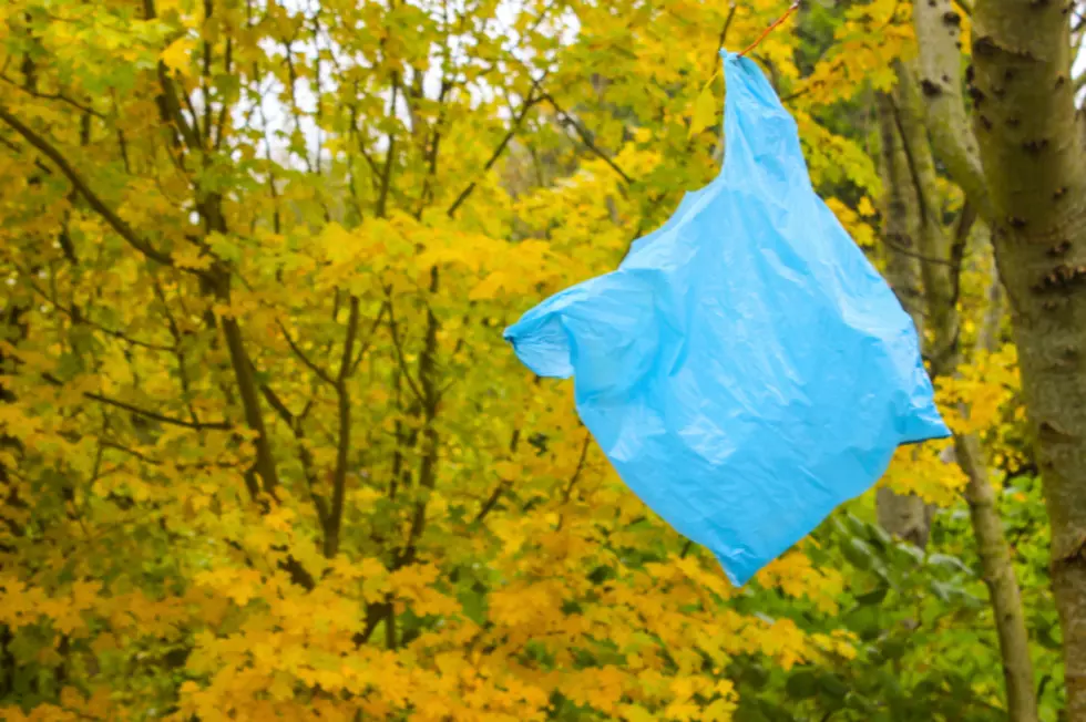 Possible Plastic Bag Ban In Saratoga