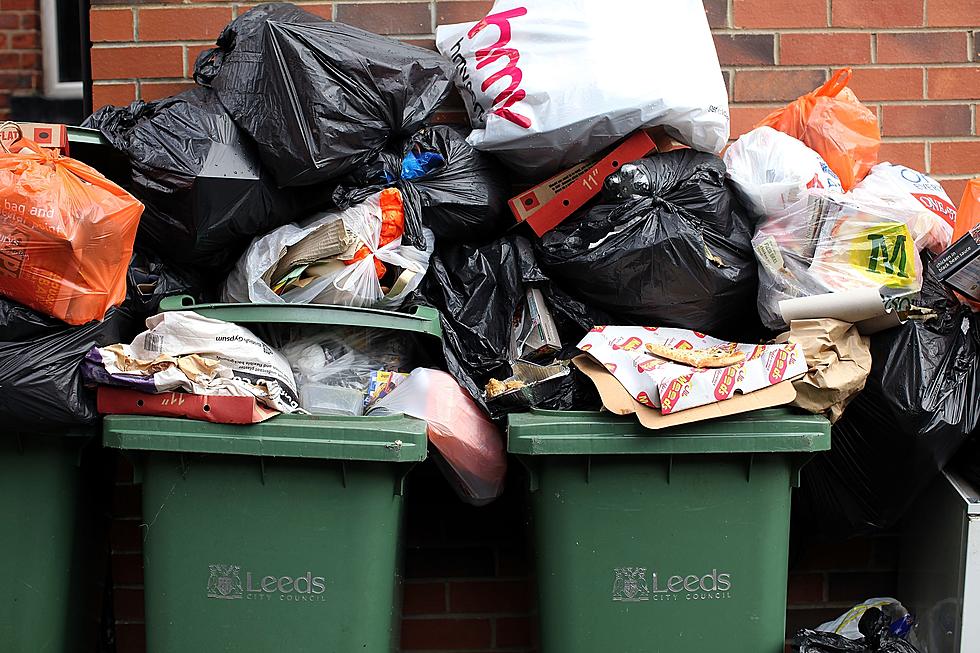 Averill Park Trash Company Owner Up to His Knees in Trash, I Mean Trouble