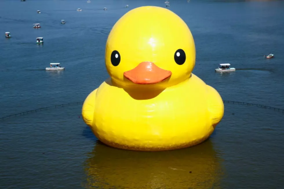 Racing Rubber Duckies For Charity? I’m In!