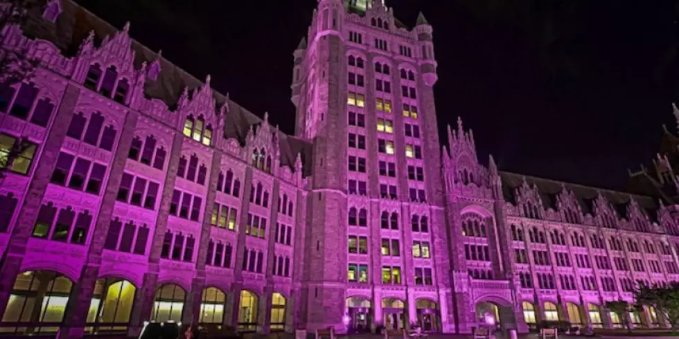 NY Buildings Lit Purple For Domestic Violence Awareness Month
