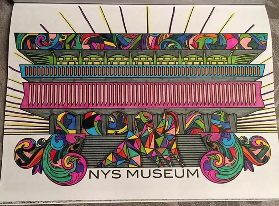 Adult Coloring Books: Albany & Troy [PHOTO]