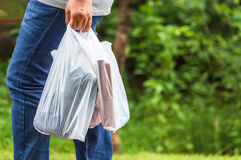 No More Plastic Bags Use In New York State