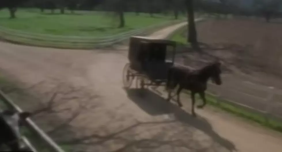 Deputies Pull Over Drunk Men In ‘Pimped Out’ Amish Buggy