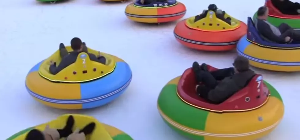 Bumper Cars on Ice Coming to New York [VIDEO]