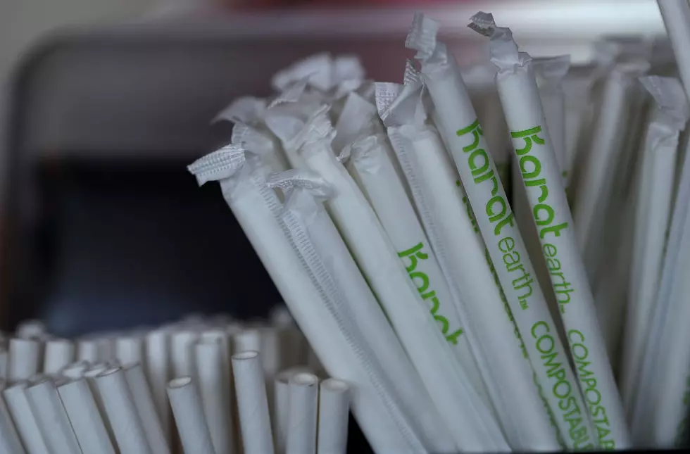 No More Plastic Straws In Albany County