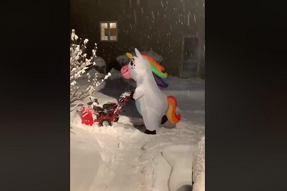 Schenectady Woman Clears Snow Dressed as Unicorn [VIDEO]