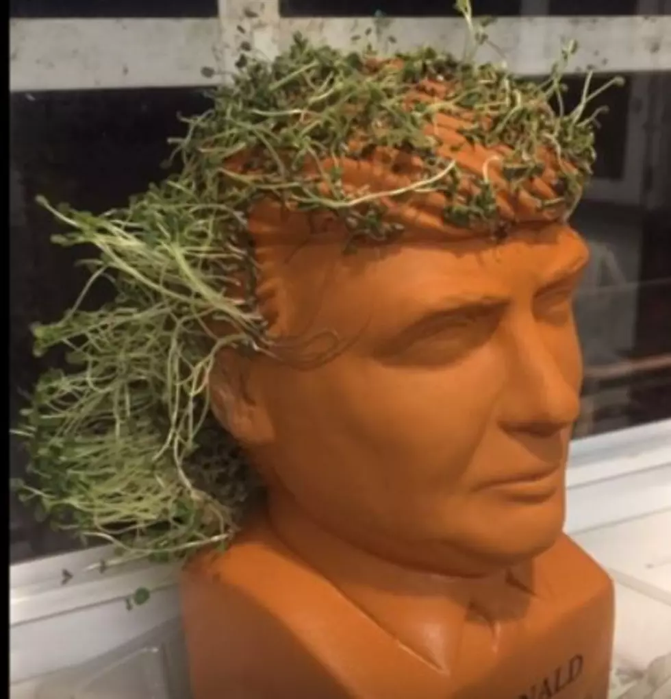 Voicemails From Mama: Chia Head Trump