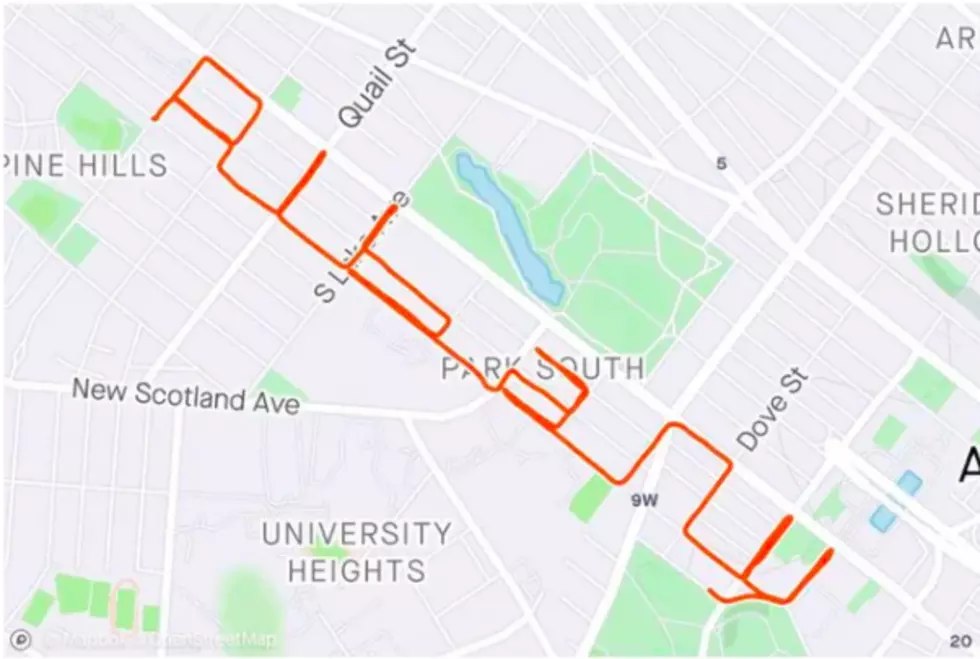 Biker Brilliantly Maps His Ride to Spell ‘ALBANY’