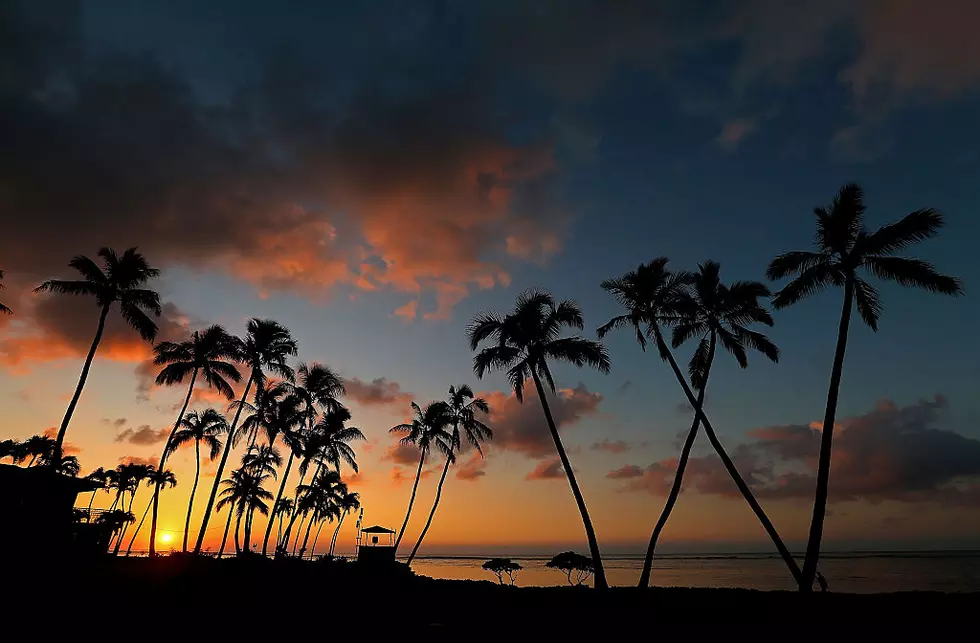 Escape Albany With Your Digital Passport To Hawaii