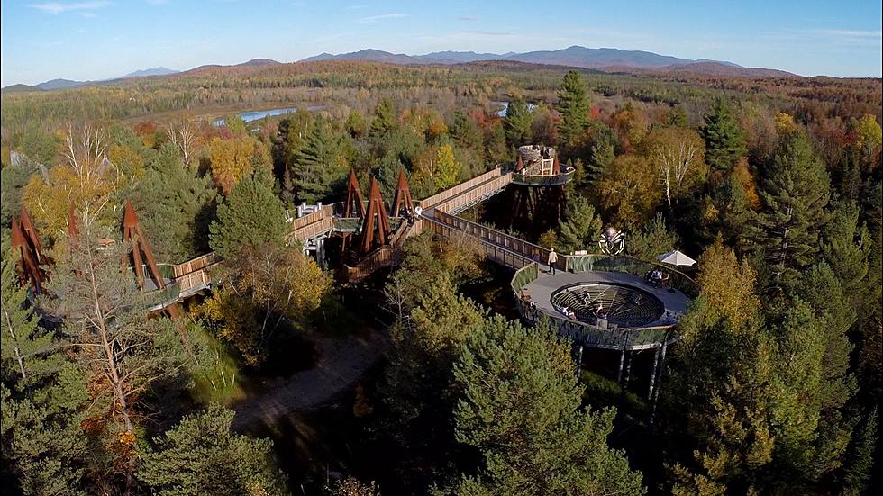 Birdseye View: Hike This Adirondack Trail In The Treetops [PICS]