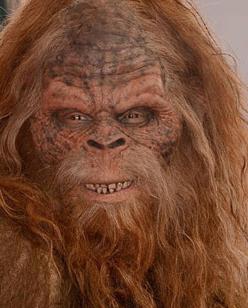 ‘I Was Attacked by Female Bigfoot’ – NY Man Makes Preposterous Assault Claim