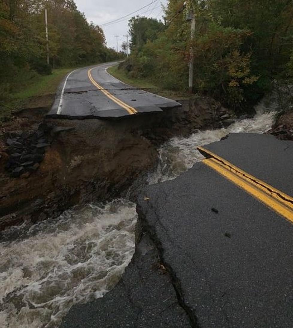 Dam! Beavers Blamed After Washington County Road is Destroyed by Flood