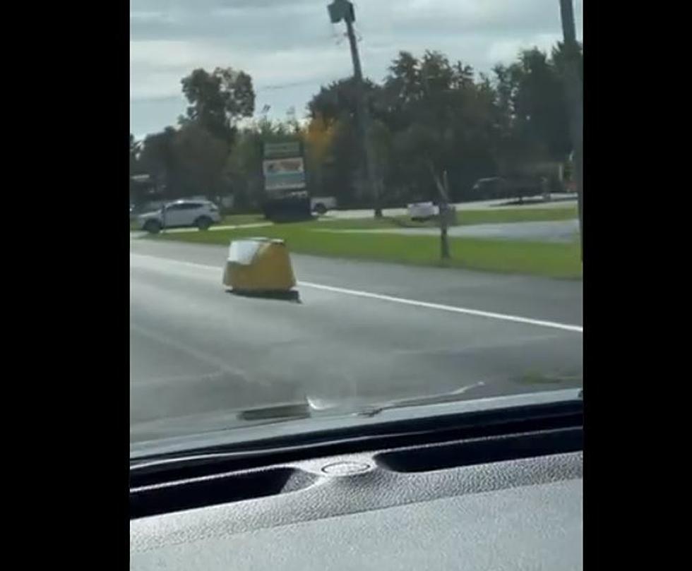 You’re Not the Only One Baffled by the Alien Car on Capital Region Roads