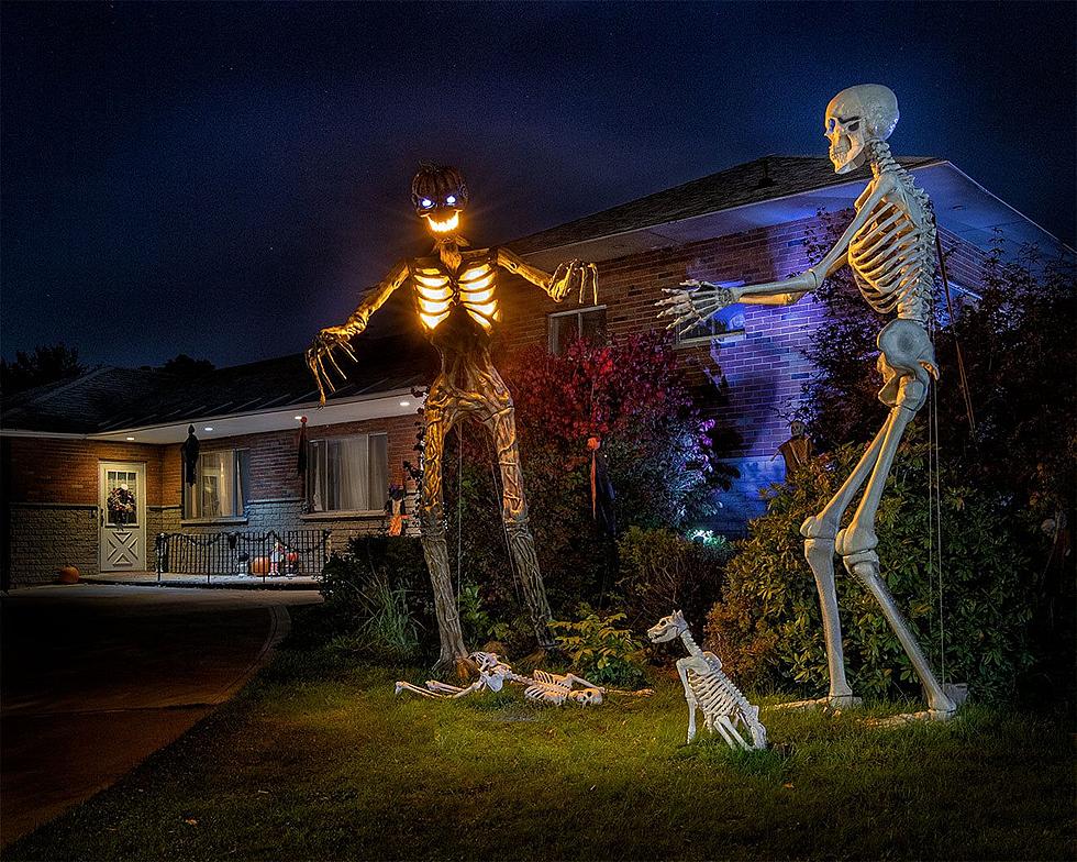 No Bones About It! Skeleton Crew is Ready for Halloween in Albany County!