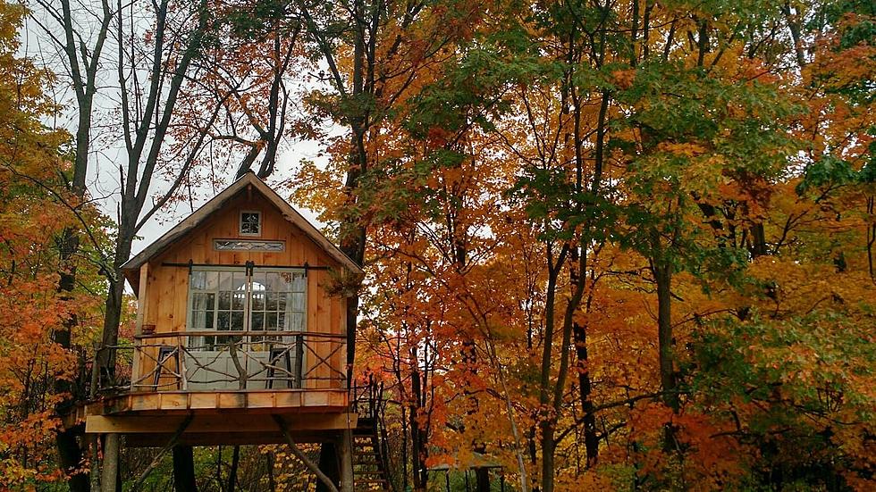 Step Into the Rustic Capital Region Treehouse You Dreamed About As A Kid