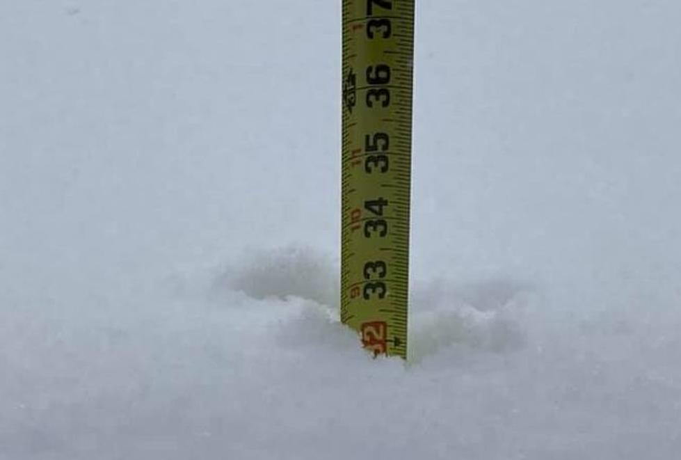 See The Massive Capital Region Snowfall Totals From 1 Year Ago Today
