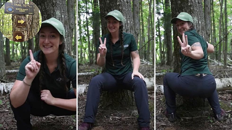 NYS DEC Drops Step-By-Step Video On Properly Pooping in the Woods