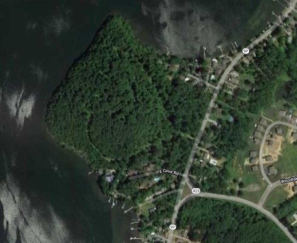 Stewart's Plan to Build Houses on Saratoga Lake Snake Hill Nixed
