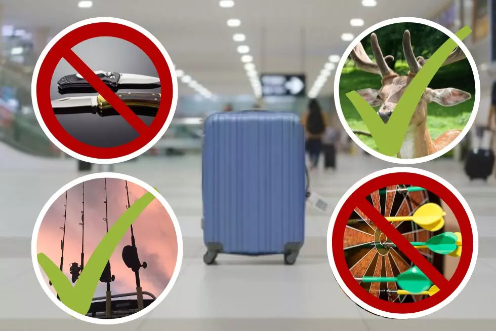 New Tech at Albany Airport! What Are You Allowed Pack in Your Carry-on?