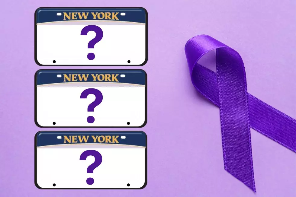 Which NY State License Plate Do You Like? Benefits a Worthy Cause