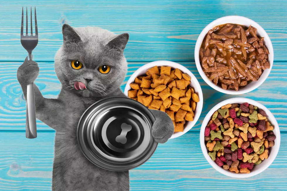 Fancy Feast Feeding Humans Cat Food Inspired Dishes At New York Restaurant