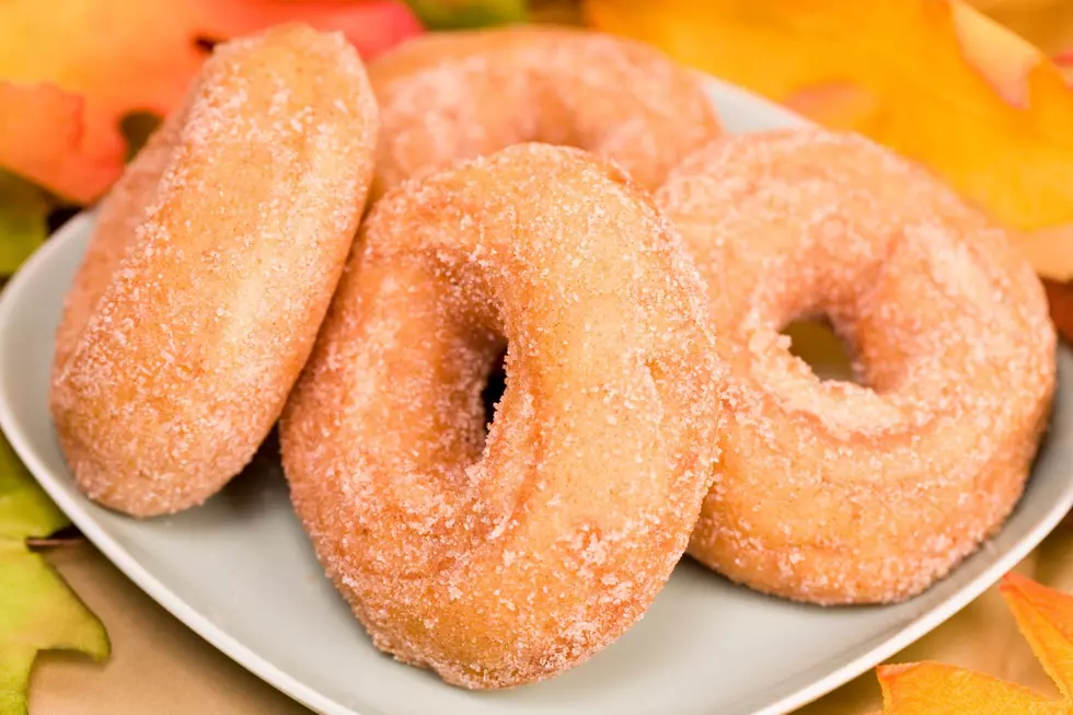 See The Capital Region's 10 Best Cider Donuts 2022 [RANKED]