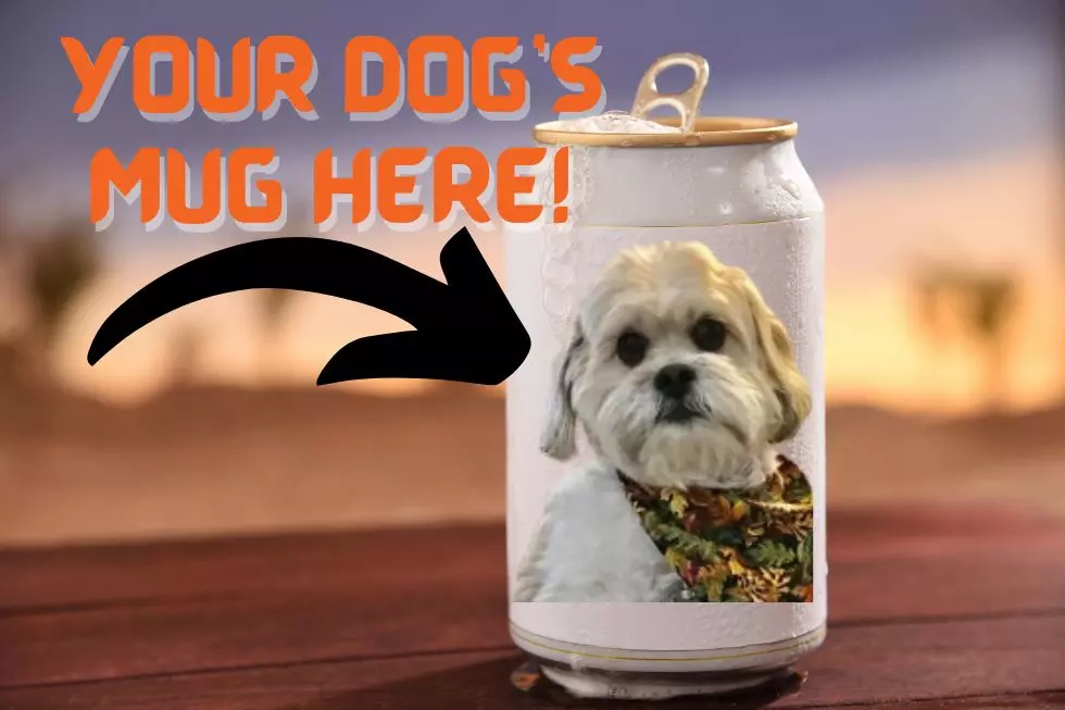 Wanna See Your Furry Friend’s Mug on a Local Beer Label? For a Great Cause
