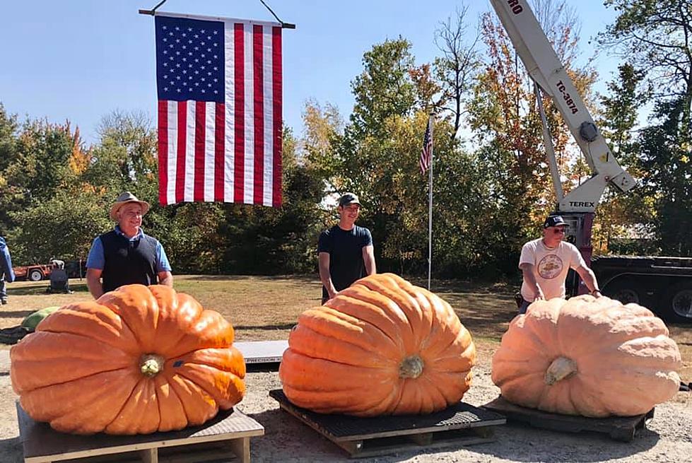 Gigantic Gourds at Saratoga Giant Pumpkinfest This Weekend