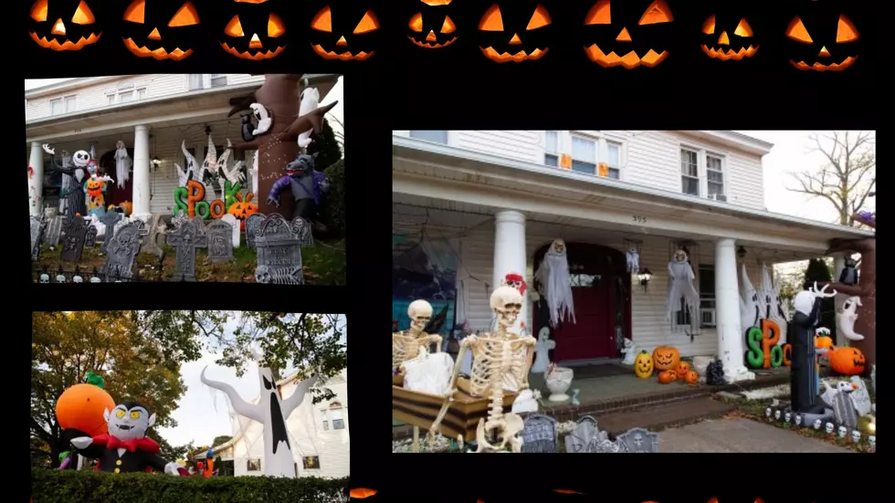 Killer Commitment! Display in Albany Wins Halloween Each Year!