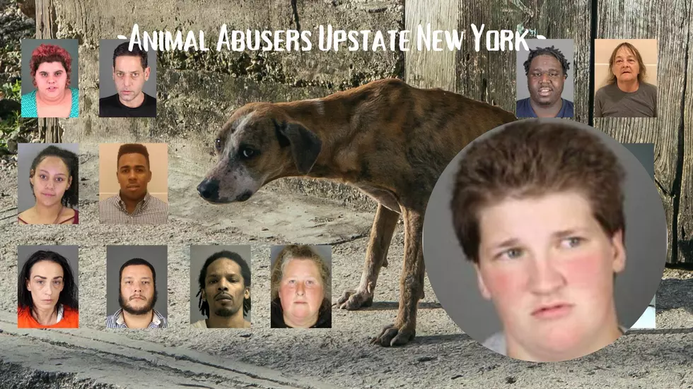 Alleged Animal Abuser from Upstate NY Charged after Grisly Find