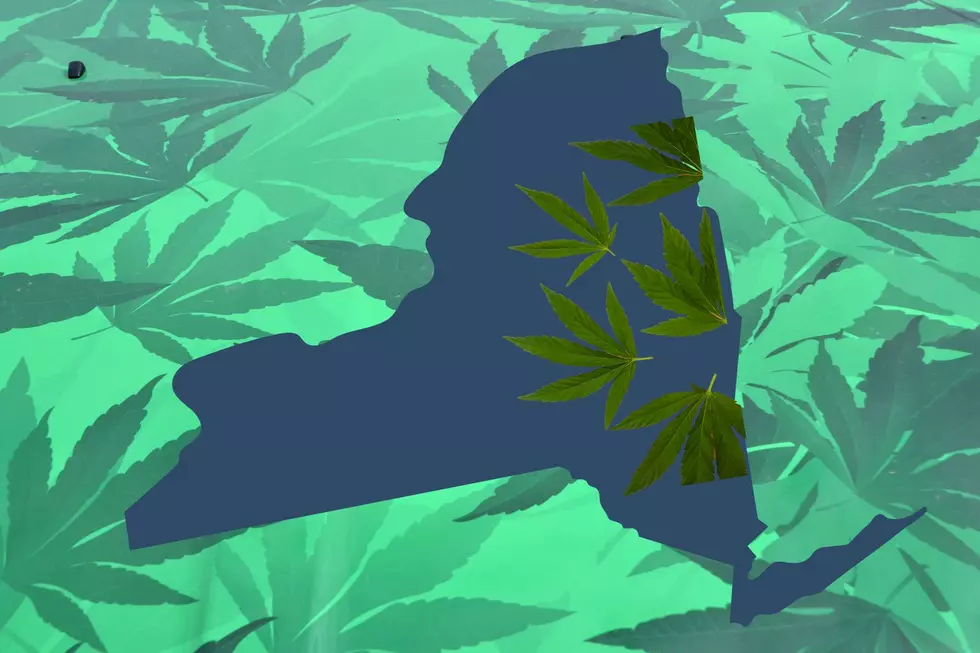 Capital Region Cannabis Store Will Be 1st to Open in Upstate NY