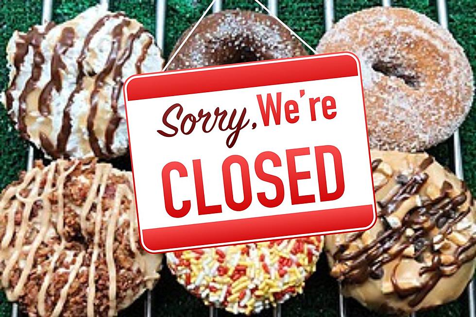 Popular Albany Doughnut Shop Temp Closes-Other Location Celebrate
