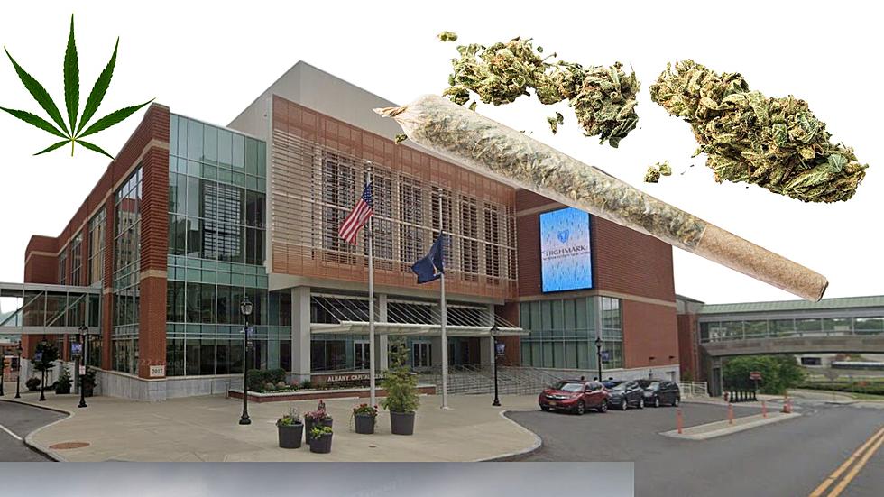 Canna Crazy! New York’s Largest Weed Expo to Hit Albany this Fall