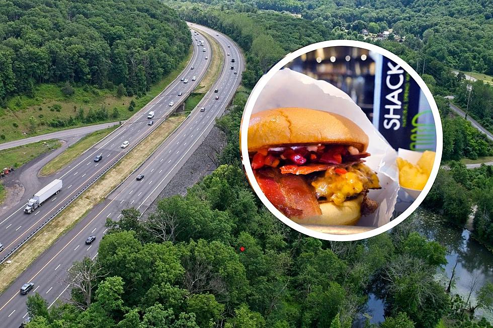Capital Region Thruway Rest Area Reopens With New Shake Shack